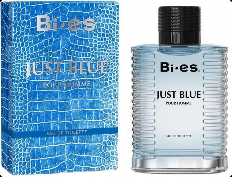Вода парфюмерная для мужчин BI-ES Just Blue 100мл